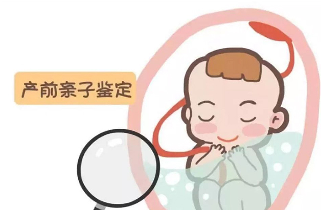 普洱怀孕期间怎么鉴定孩子是谁的,普洱胎儿亲子鉴定需要多少钱